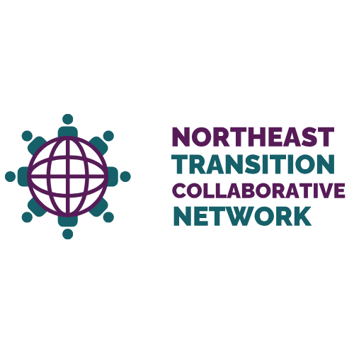 Empowering Student Voice: Practical Strategies for Transition IEPs - logo